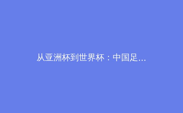 从亚洲杯到世界杯：中国足球体系化改革背后的竞技哲学与青训革命 - 3